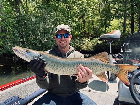 With several campgrounds for RVs and three public boat ramps there, is no excuse not to put your line in and try your luck. . Parksville lake fishing